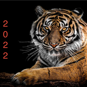 Vodní Tygr 2022