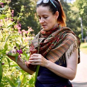 Jídlo z volné přírody